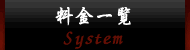 システム